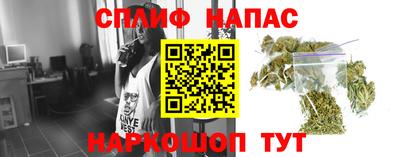 apvp Беслан