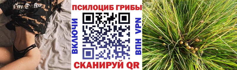 Галлюциногенные грибы мухоморы  Боровичи 