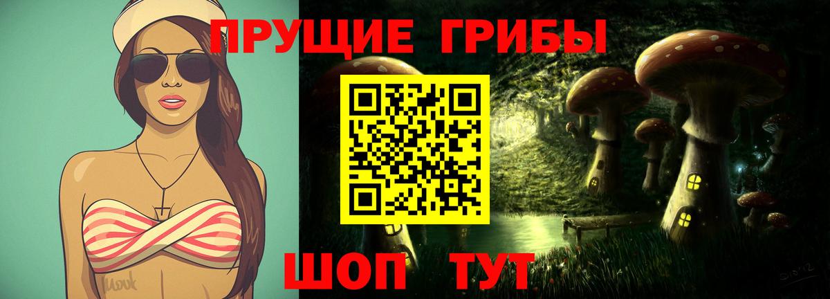 Псилоцибиновые грибы мицелий Боровичи